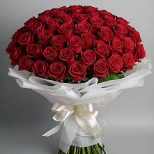 Букет 101 Красная роза Блэк Мэджик #REPLACE_PRED# Гиагинском