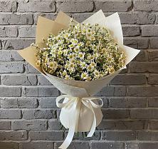 Букет цветов из:  Ромашки в Гиагинском