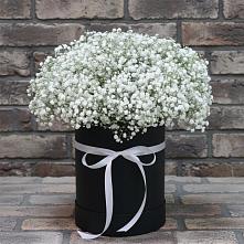 Цветочная композиция из Гипсофила в шляпной коробке в Гиагинском