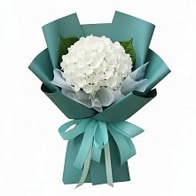 Букет цветов из:  Гортензия #REPLACE_PRED# Гиагинском